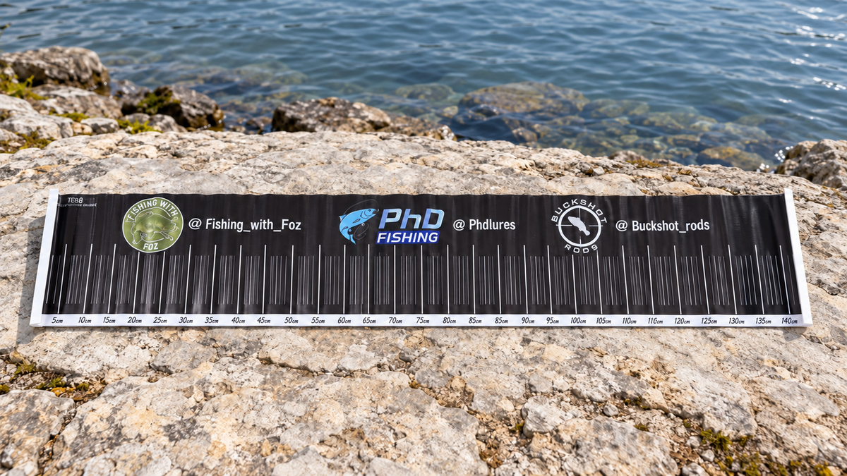 PhD Bragmat on a rocky shoreline