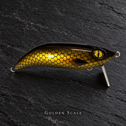 PhD Frog Fish WAKE lure in Golden Scale on black slate