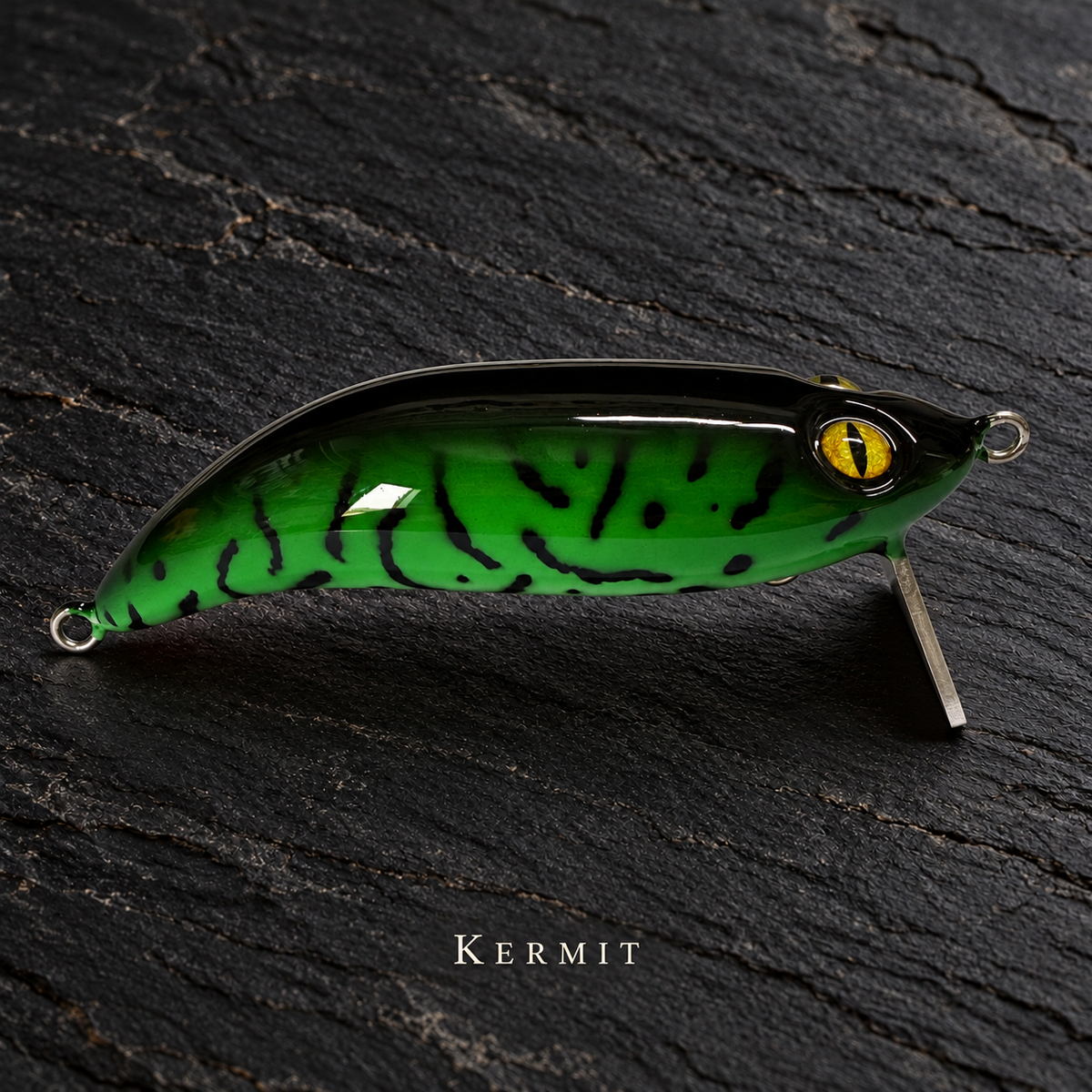 PhD Frog Fish WAKE lure in Kermit on black slate