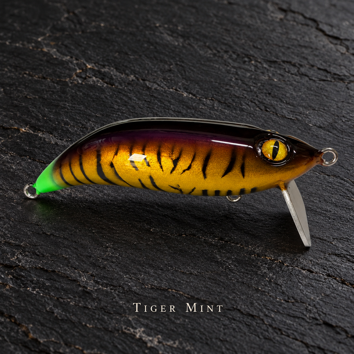 PhD Frog Fish WAKE lure in Tiger Mint on black slate