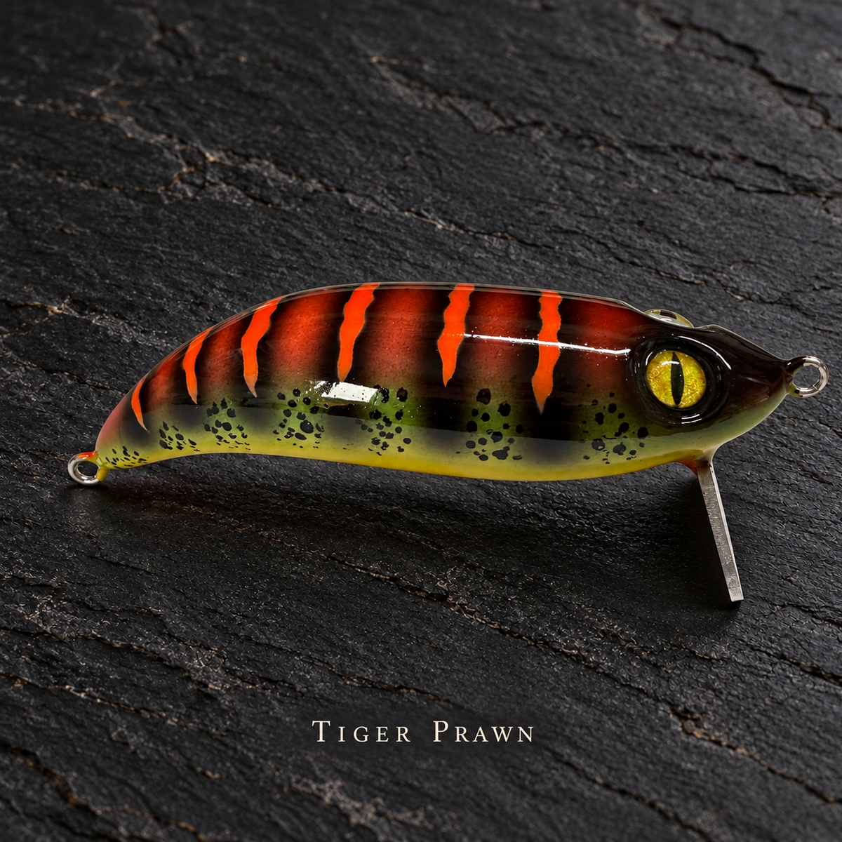 PhD Frog Fish WAKE lure in Tiger Prawn on black slate