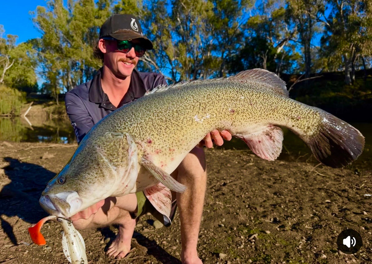 Angler holding a large Murray cod beside the river